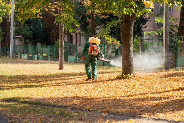 Flea Control Services in Middleburg Heights, OH