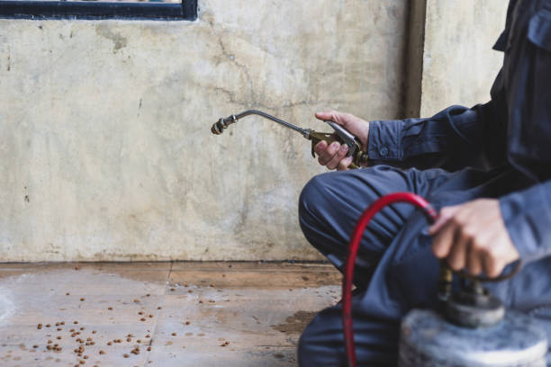 Best Pest Control Near Me  in Middleburg Heights, OH